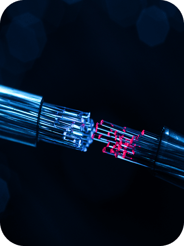 Reliable Fiber Performance