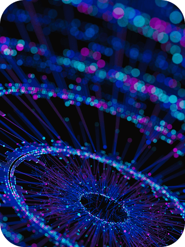Redundancy & Network Resilience